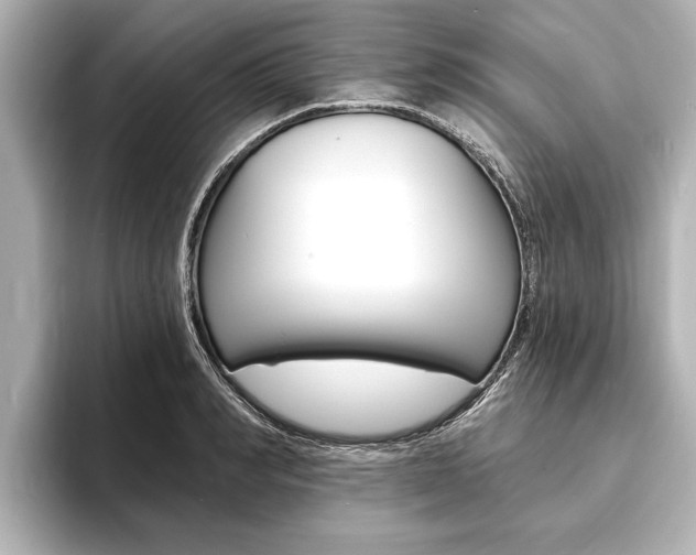 X0000093760990200710160832