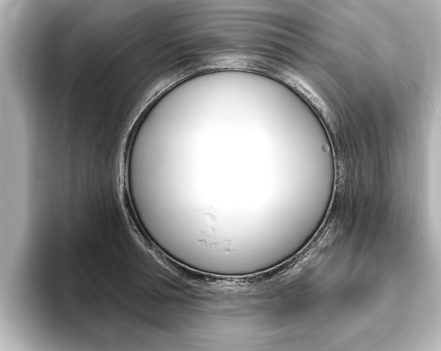 X0000093760994200710160832