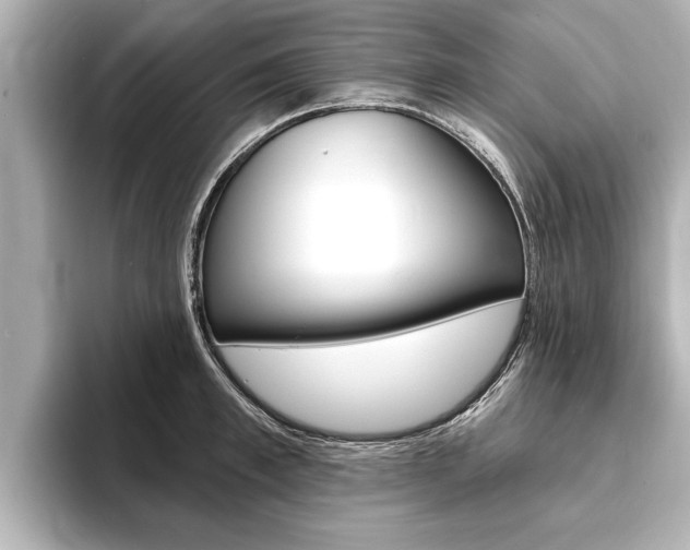X0000093760997200710160832