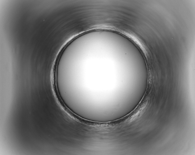 X0000093760999200710160832