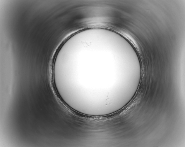 X0000093761000200710160832