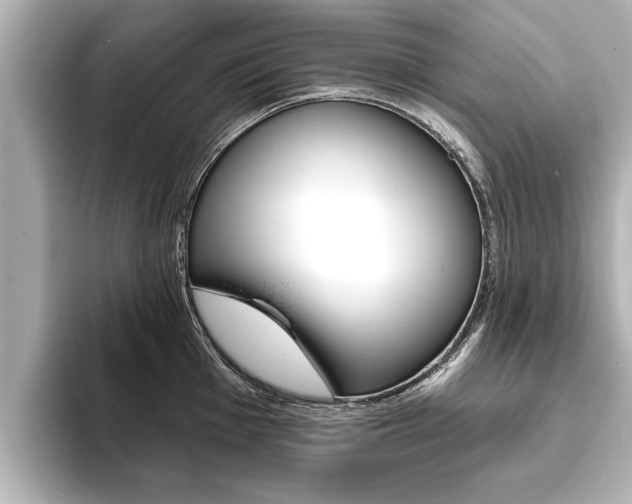 X0000093761001200710160832