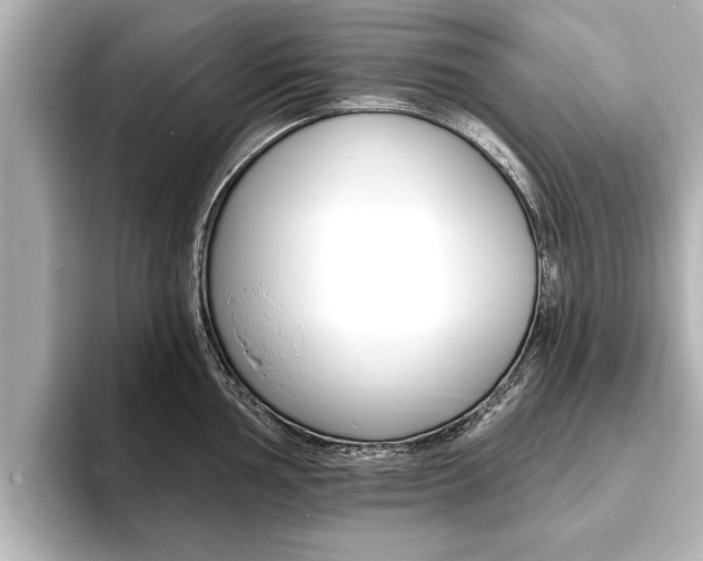 X0000093761002200710160832