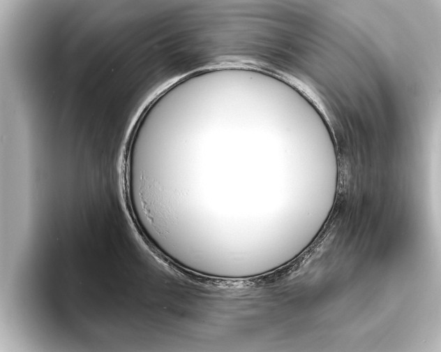 X0000093761003200710160832