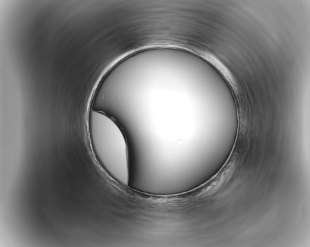 X0000093761004200710160832