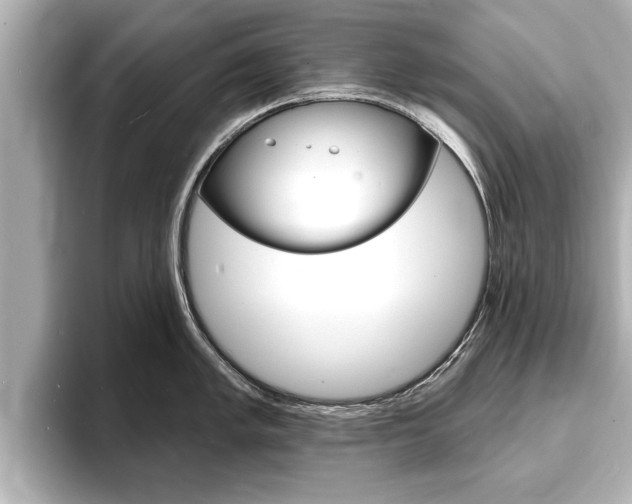 X0000093761005200710160832