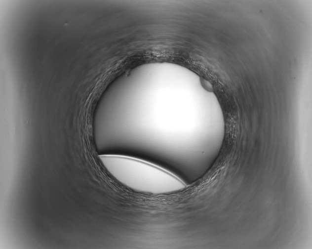 X0000093761009200710160831