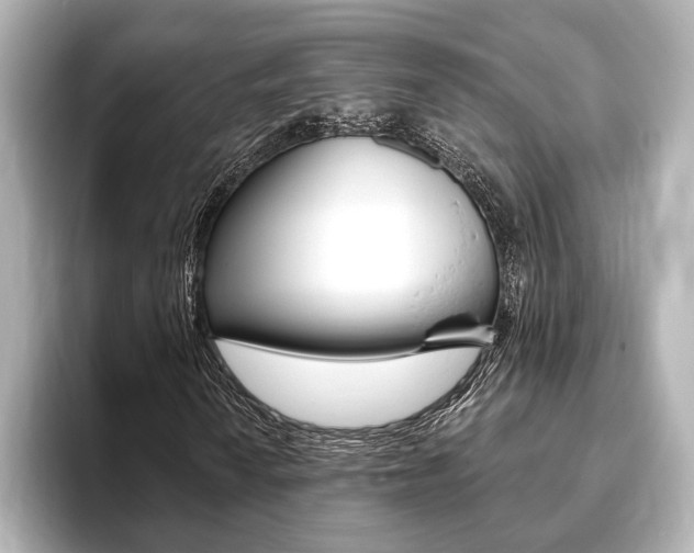 X0000093761010200710160831