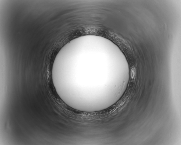 X0000093761011200710160831