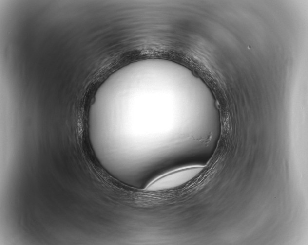 X0000093761012200710160831
