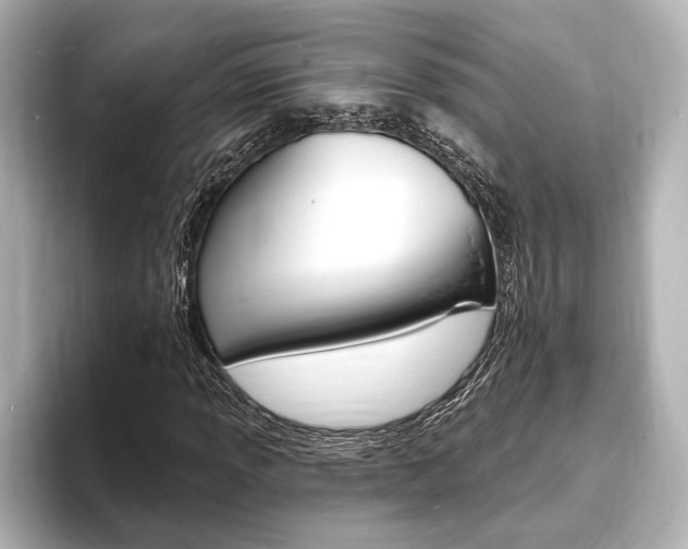 X0000093761013200710160831
