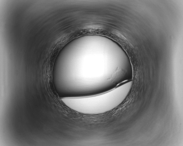 X0000093761014200710160831