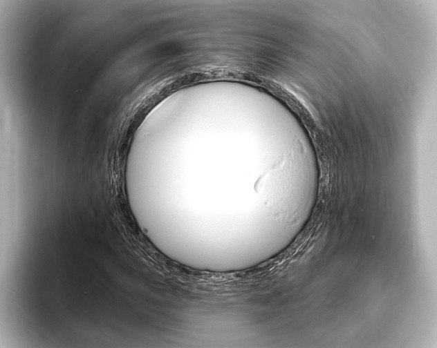 X0000093761015200710160831