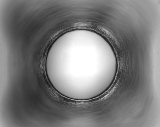 X0000093761017200710160831