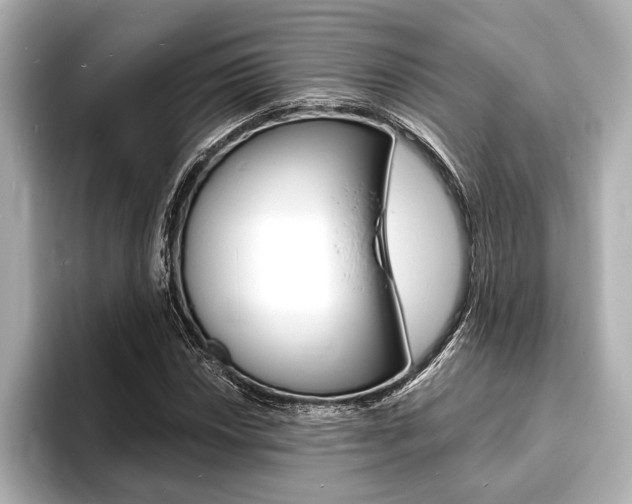 X0000093761018200710160831