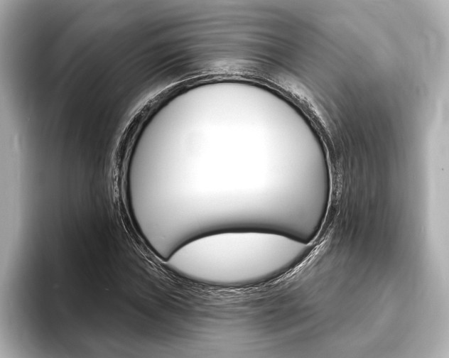 X0000093761019200710160831