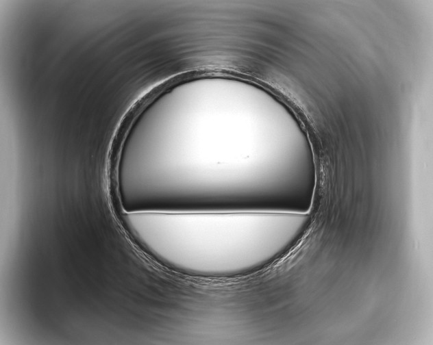 X0000093761020200710160831