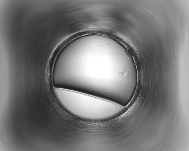 X0000093761021200710160831