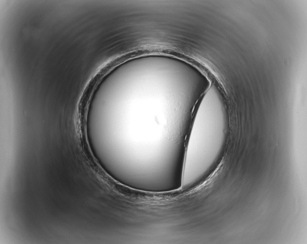 X0000093761022200710160831