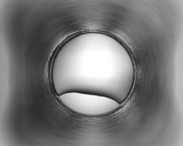 X0000093761023200710160831