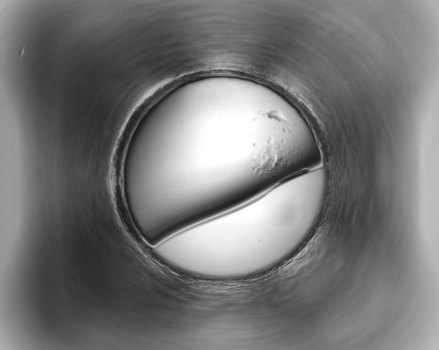 X0000093761024200710160831