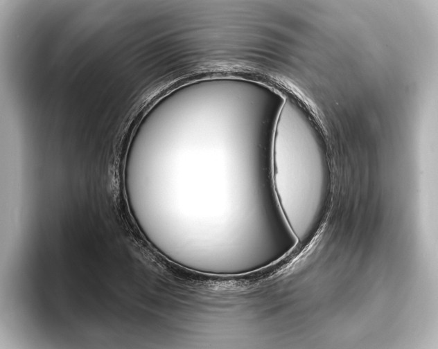 X0000093761025200710160831