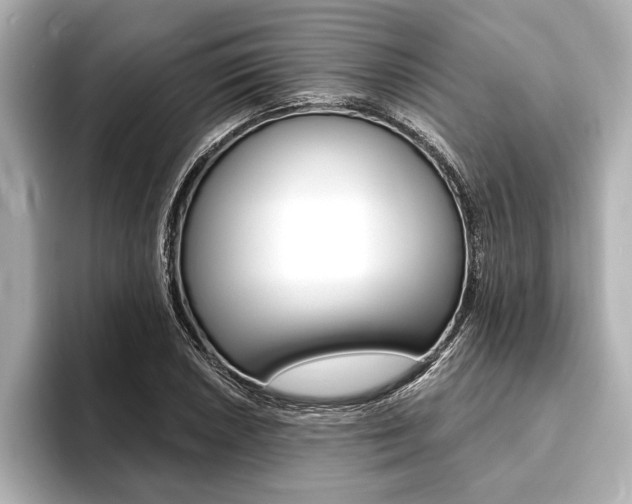X0000093761026200710160831