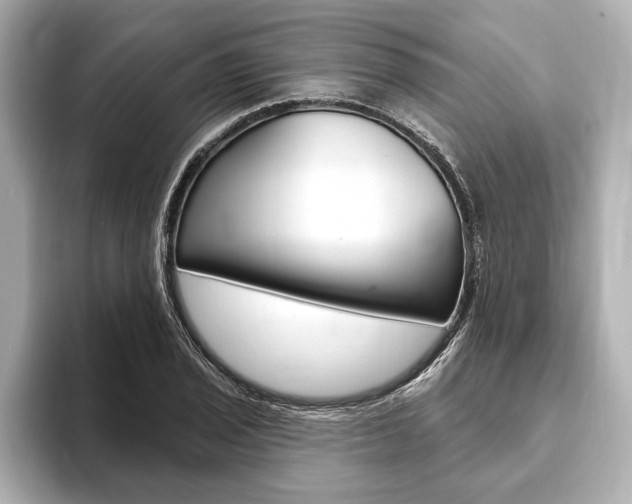 X0000093761029200710160831