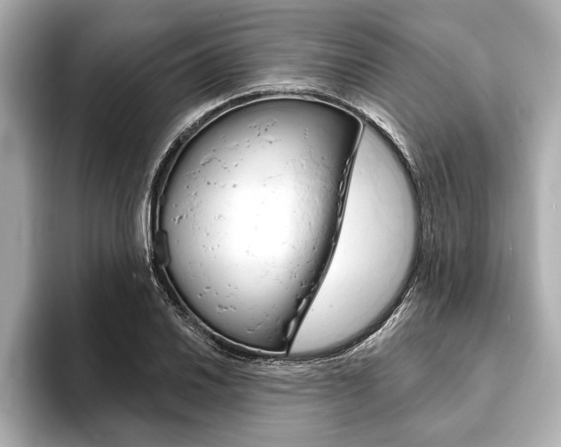 X0000093761030200710160831
