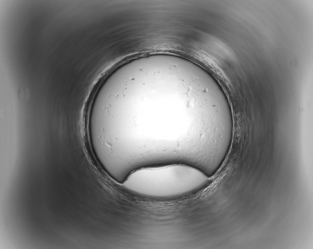 X0000093761031200710160831