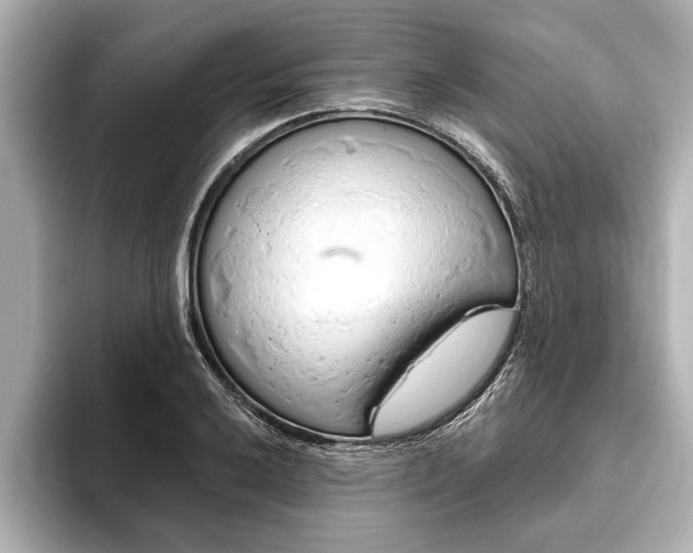 X0000093761032200710160831
