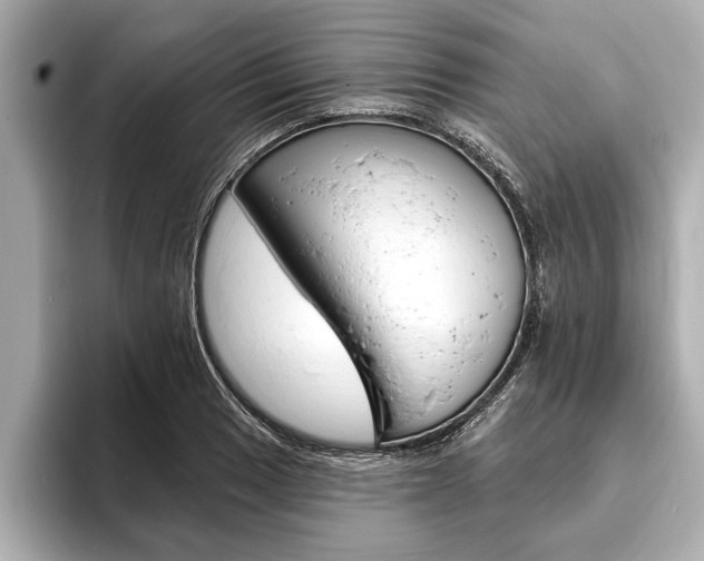X0000093761033200710160831