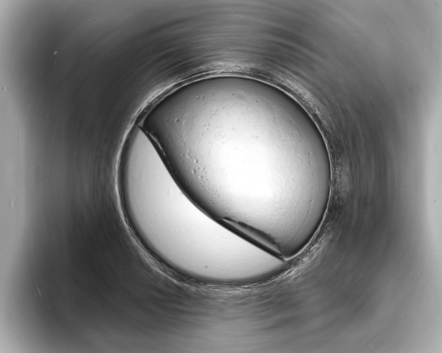 X0000093761034200710160831