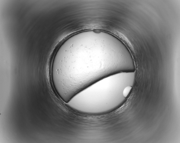 X0000093761035200710160831