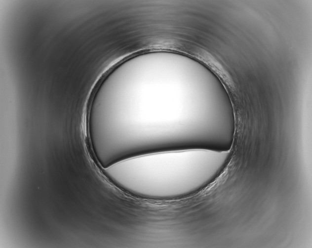 X0000093761036200710160831