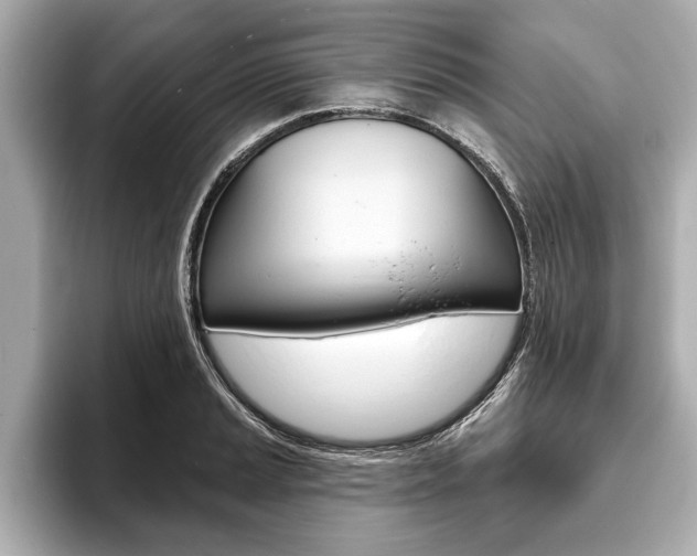 X0000093761037200710160831