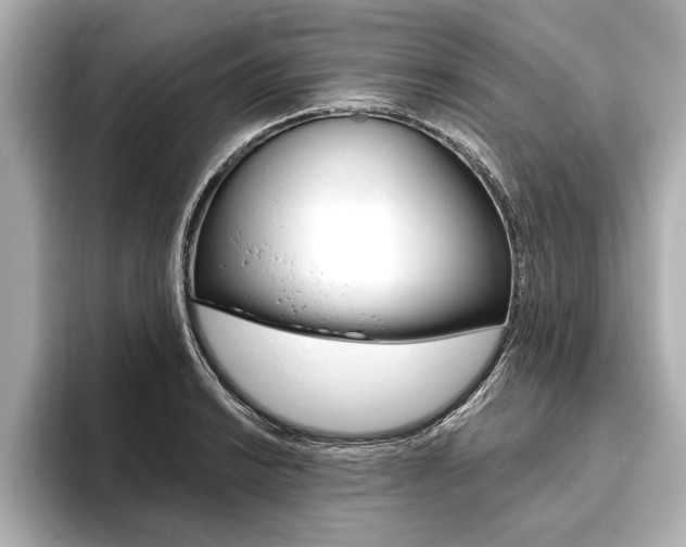 X0000093761038200710160831