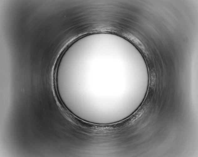 X0000093761039200710160831