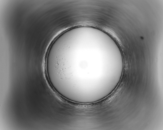 X0000093761040200710160831