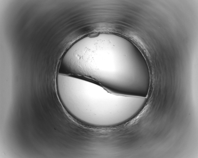 X0000093761041200710160831