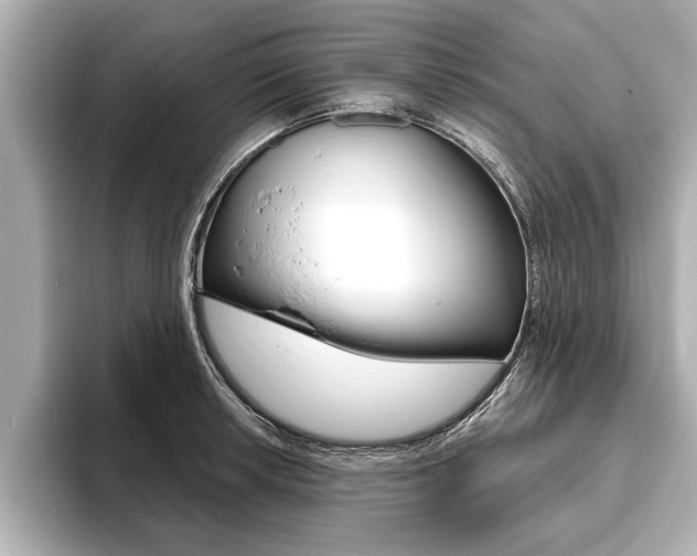 X0000093761042200710160831