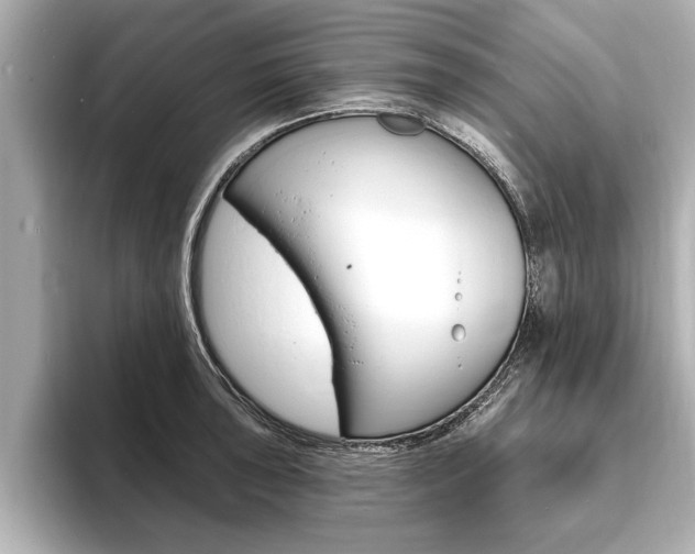 X0000093761043200710160831