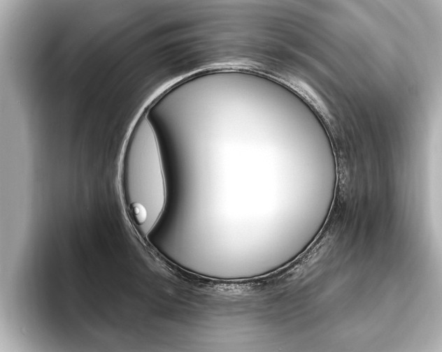 X0000093761044200710160831