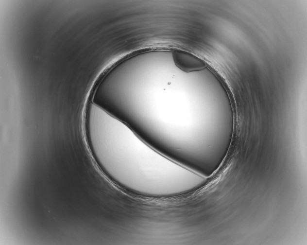 X0000093761045200710160831