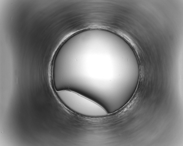 X0000093761048200710160831