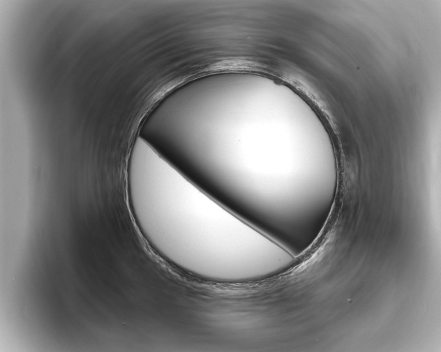 X0000093761049200710160831