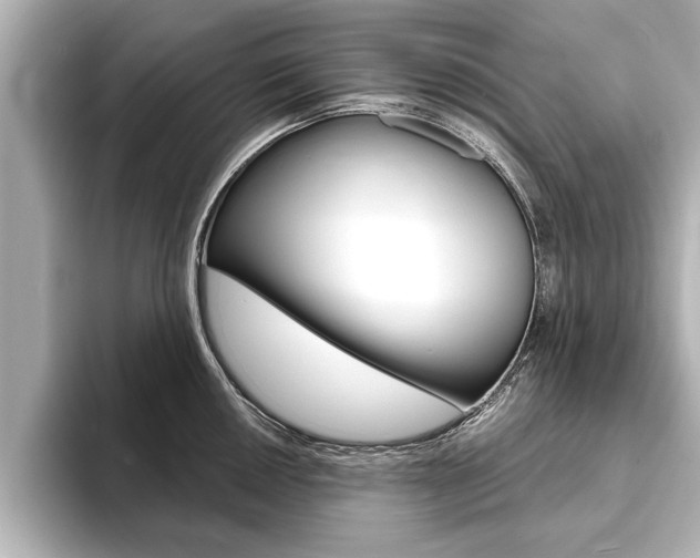 X0000093761050200710160831