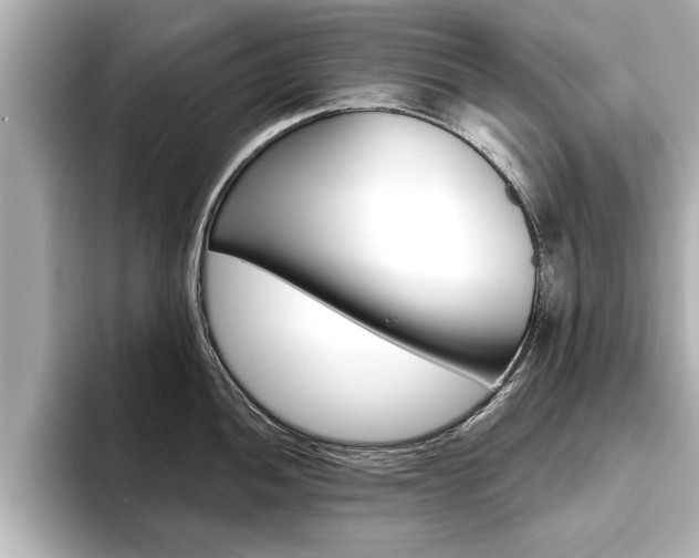 X0000093761052200710160832