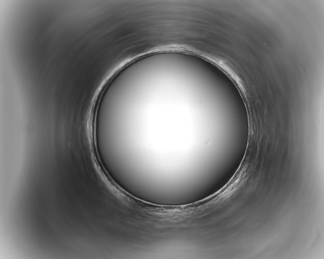 X0000093761054200710160832