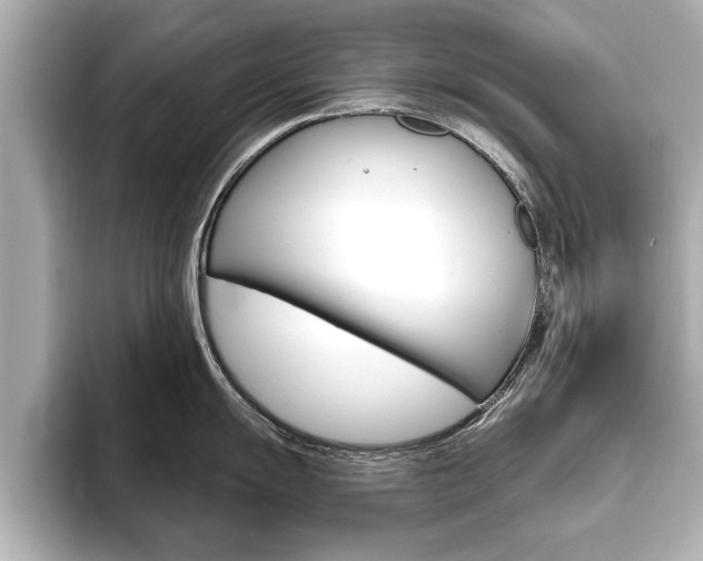 X0000093761055200710160832